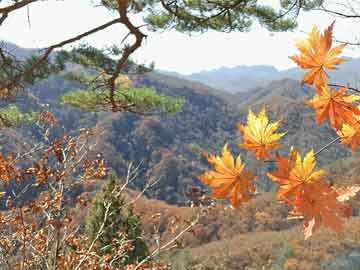 井冈山土地法,井冈山土地法和兴国土地法的区别